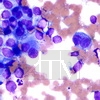    (Stains for cytology)