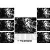   IMAGESCOPE PLUGIN
